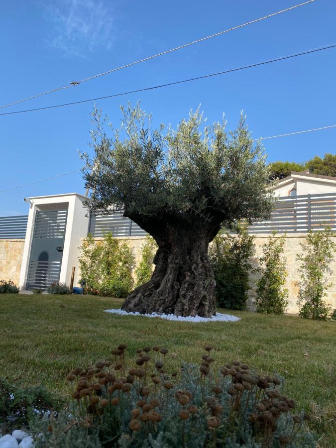 Villa Palladino Rooms Giovinazzo Buitenkant foto